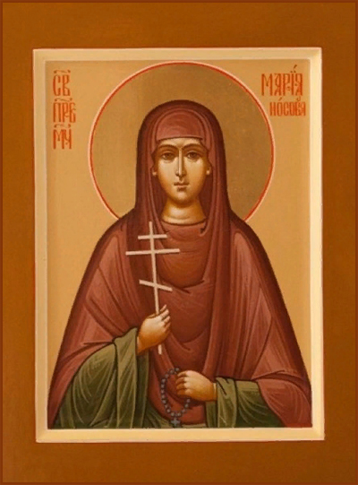 Сщмчч. Павла Светозарова и Иоанна Рождественского пресвитеров, мчч. Петра Языкова, Николая Малкова, Авксентия Калашникова, Сергия Мефодиева и мц. Анастасии (1922); прмц. Марии Носовой (1938); сщмч. Иоанна Спасского пресвитера (1941)