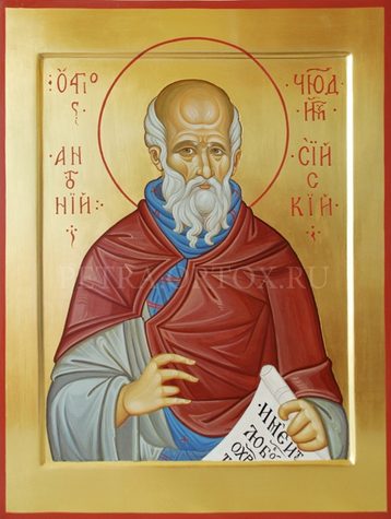 Прп. Антония Сийского (1556)